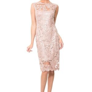Tadashi Shoji BHLDN Lace Sequin Midi Dress - Pink NWT size 12